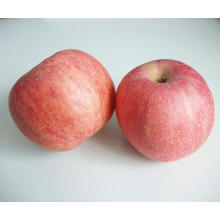 Fresh Red FUJI Apple precio competitivo